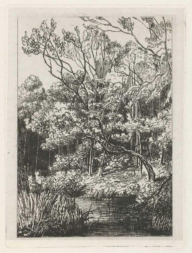 Bosgezicht (in or before 1855) by Joseph Hartogensis