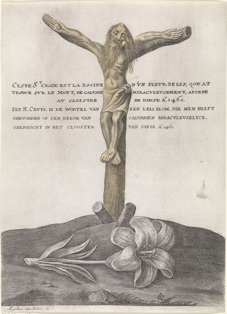 Wonderbaarlijke leliewortel met de vorm van een kruisbeeld (1611 - 1637) by Aegidius van Schoor
