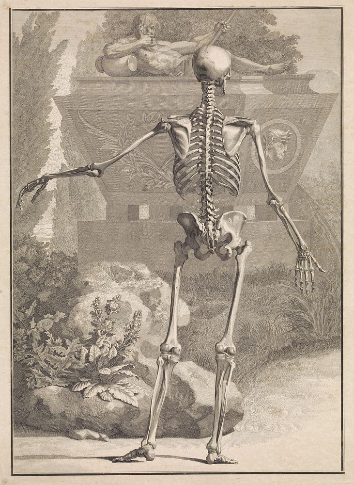 Skelet bij een graftombe (1747) by Jan Wandelaar