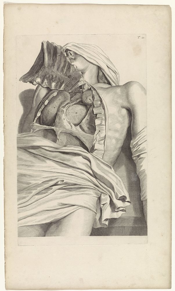 Anatomische studie van de geopende borstkas (1685) by Pieter van Gunst, Gerard de Lairesse, weduwe Joannes van Someren and…