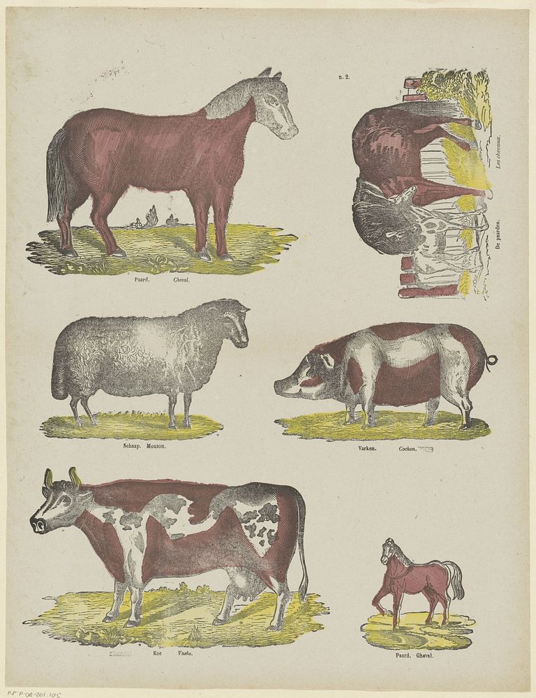 Dieren (1866 - 1902) by Franciscus Antonius Beersmans and anonymous