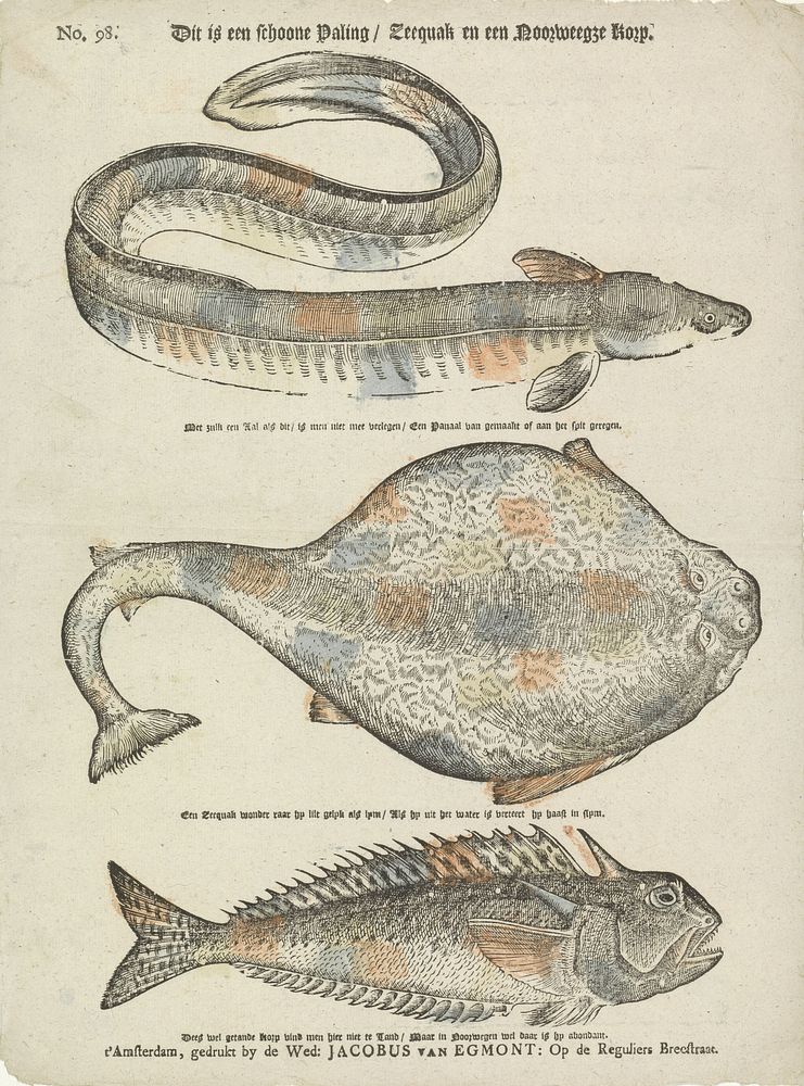 Dit is een schoone paling / Zeequak en een Noorweegze korp (1724 - 1761) by weduwe Jacobus van Egmont and anonymous