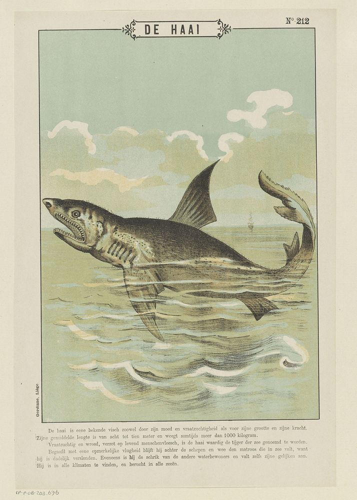 De haai (1894 - 1959) by Gordinne and anonymous