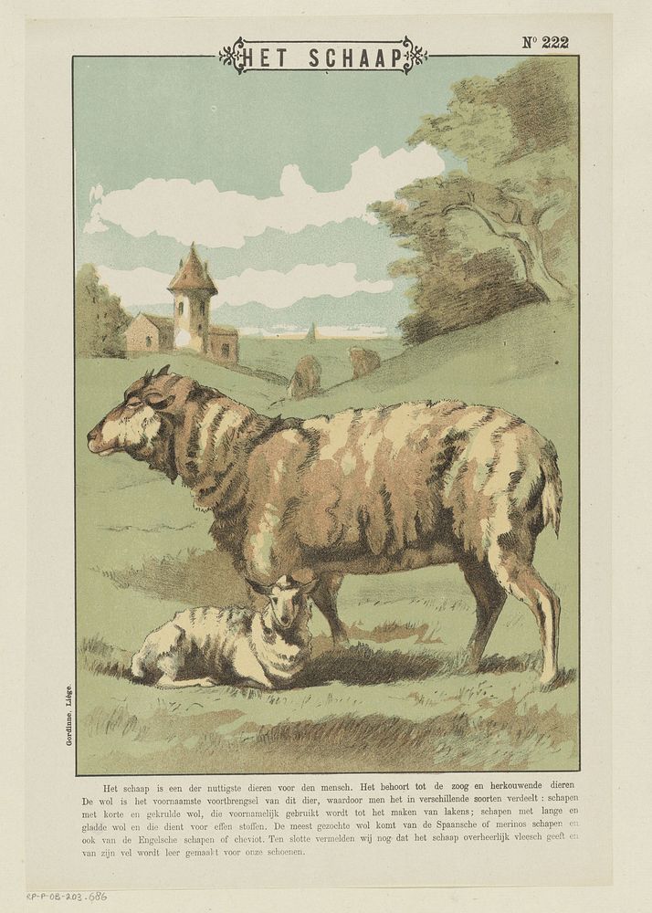 Het schaap (1894 - 1959) by Gordinne and anonymous