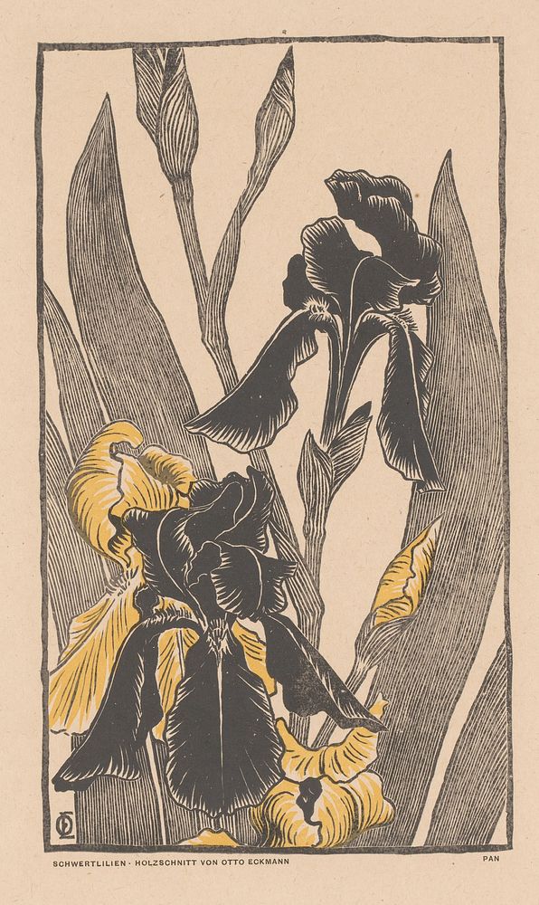 Zwarte irissen (1895) by Otto Eckmann and Pan tijdschrift