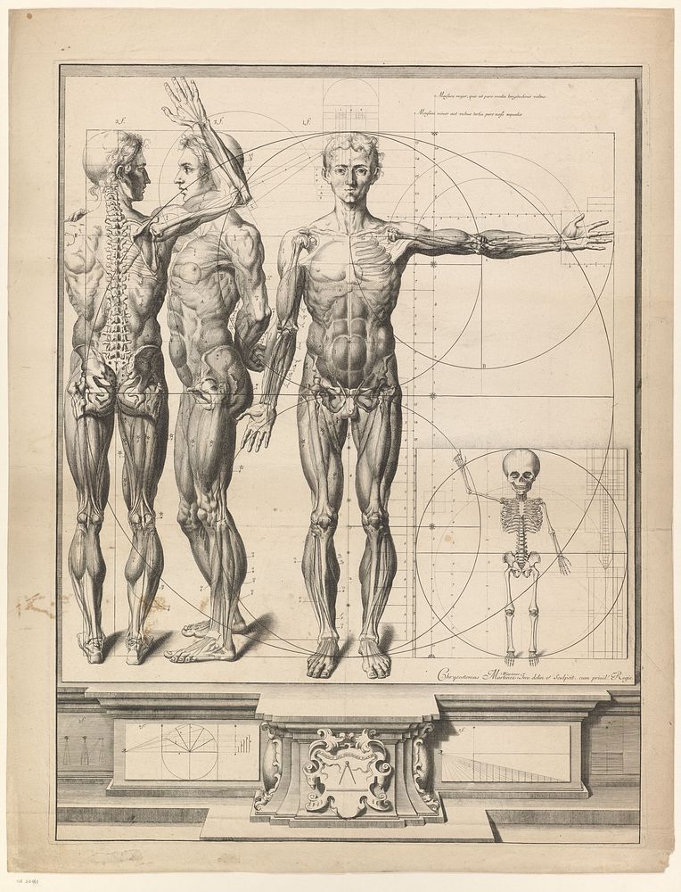Anatomieprent met drie aanzichten van een man en een kinderskelet (1638 - 1694) by Crisóstomo Alejandrino José Martínez y…
