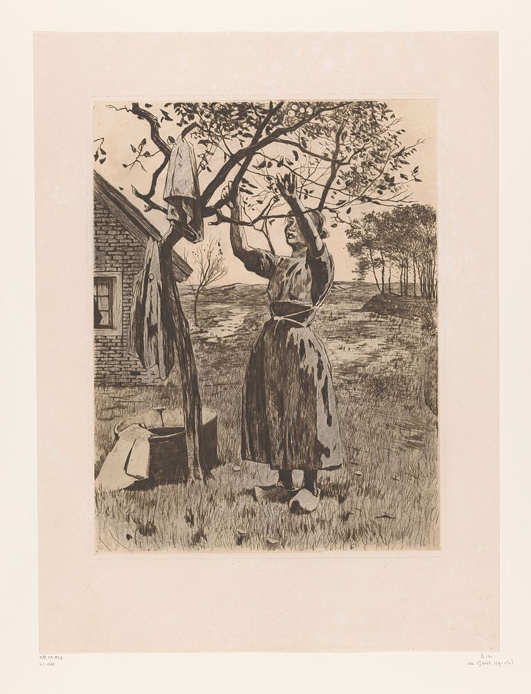 Vrouw reikt omhoog naar de takken van een appelboom (c. 1908 - c. 1909) by Willem Witsen
