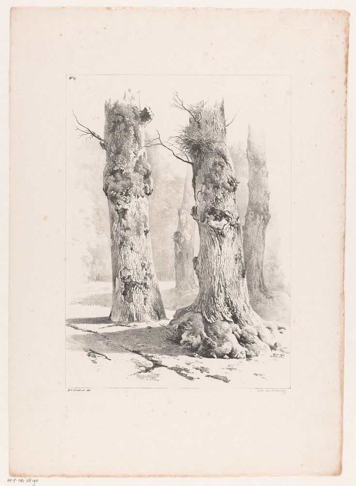 Vier boomstammen in het bos (1829 - 1830) by Barend Cornelis Koekkoek, Barend Cornelis Koekkoek and Jean Augustin Daiwaille