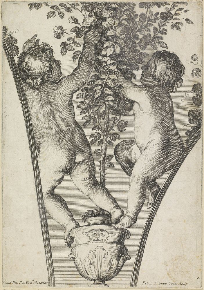 Twee putti, van achteren gezien, bij een rozenstruik in pot (1675 - 1685) by Pietro Antonio Cotta and Guido Reni