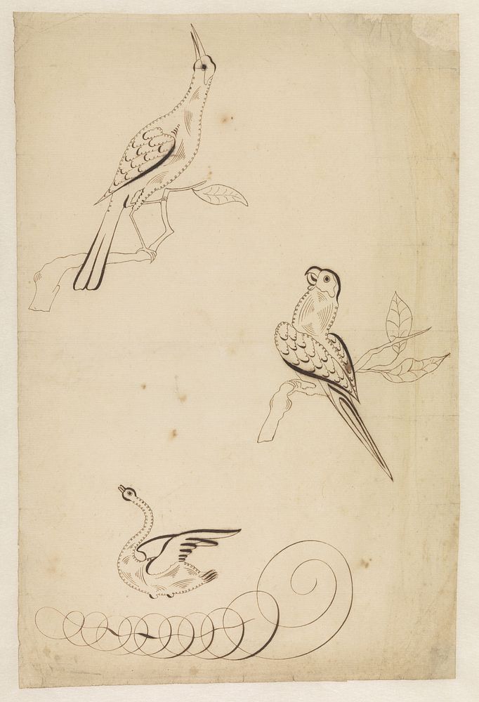 Drie vogels in kalligrafie (1700 - 1799) by anonymous