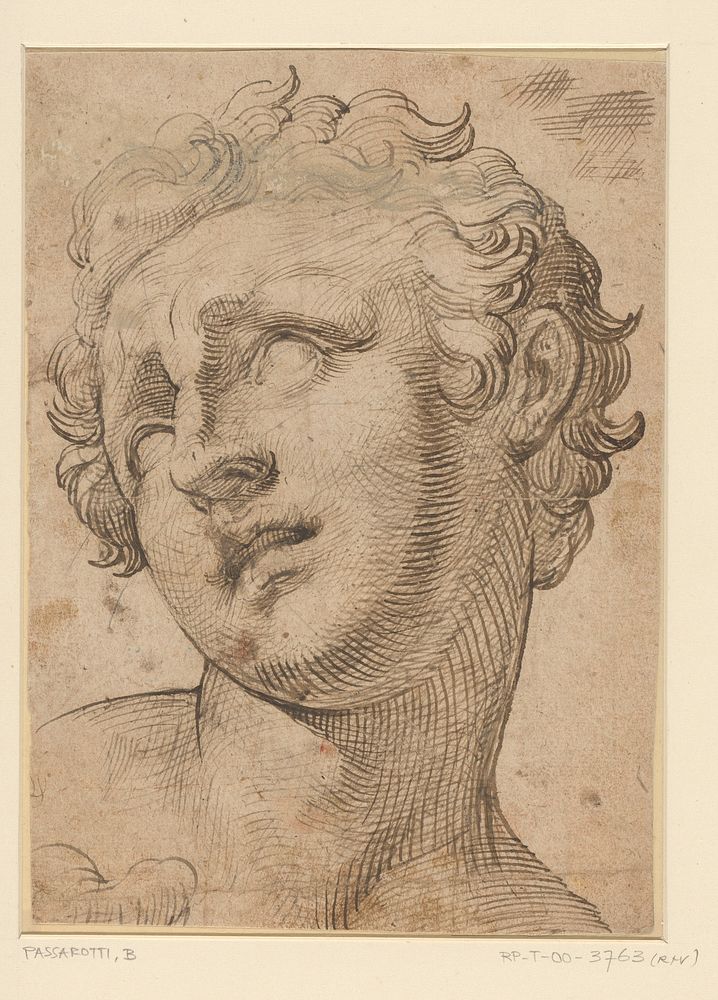 Hoofd van een zoon van Laocoön (1539 - 1592) by Bartolomeo Passarotti