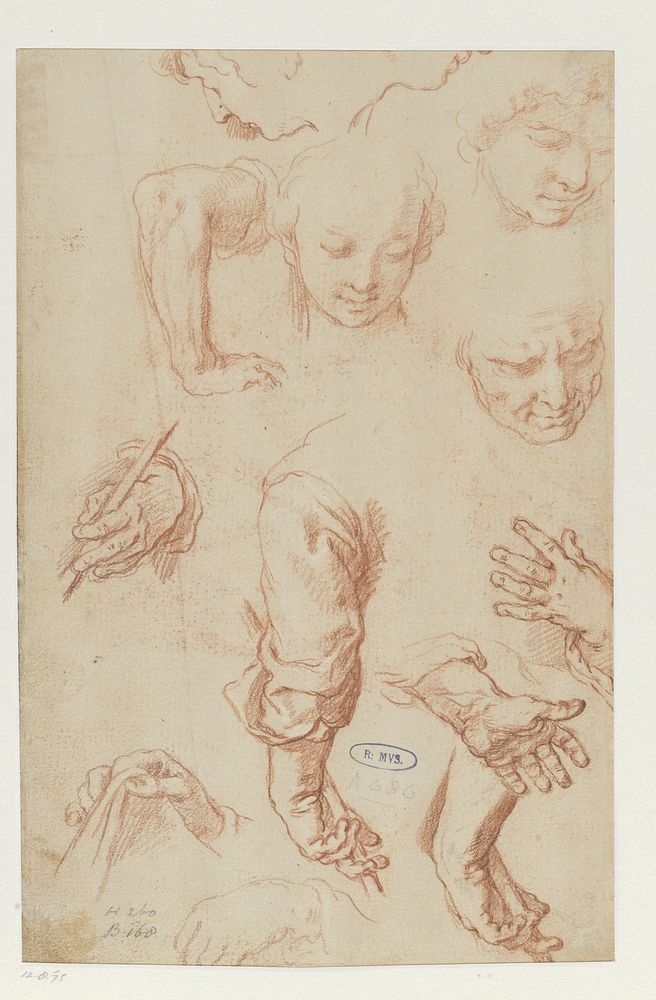 Studies of Arms, Hands and Heads (1574 - 1651) by Abraham Bloemaert