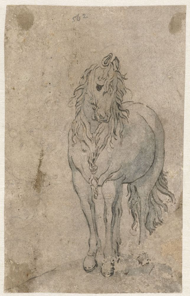 Paard van voren gezien (1610 - 1650) by Evert Wyntgis and anonymous