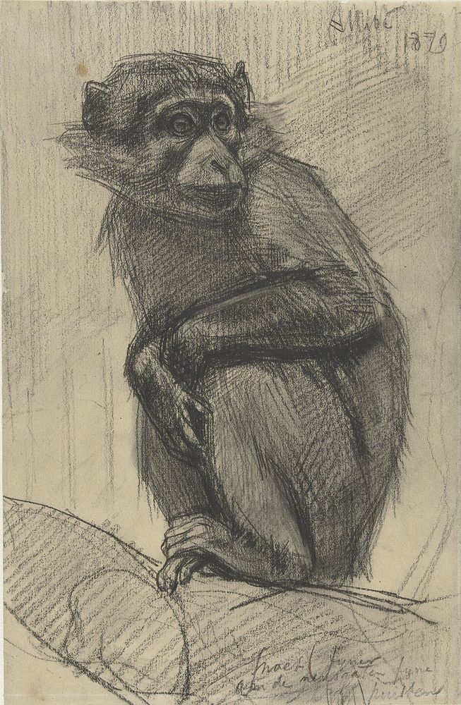 Monkey on a Branch (1879) by August Allebé