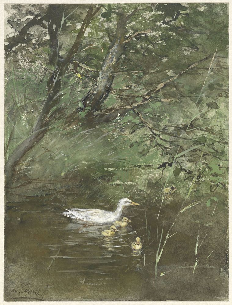 Eendjes in het water (1854 - 1892) by Willem Maris
