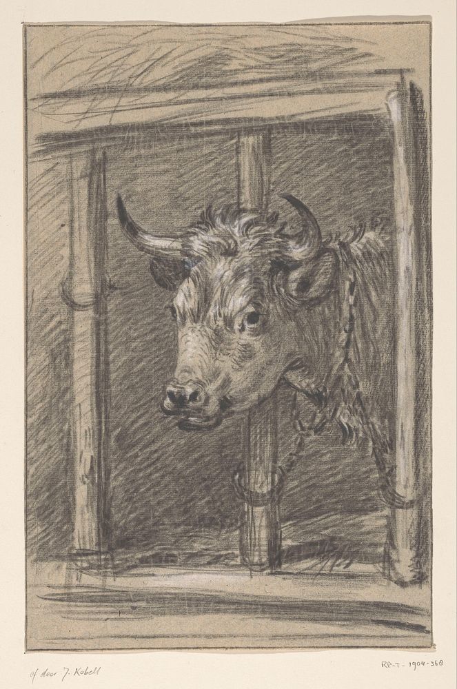 Kop van een koe, door de spijlen van een stal (1775 - 1833) by Jean Bernard