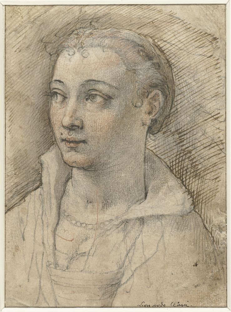 Portret van onbekende vrouw (1550 - 1609) by Federico Zuccaro and Angelo Bronzino