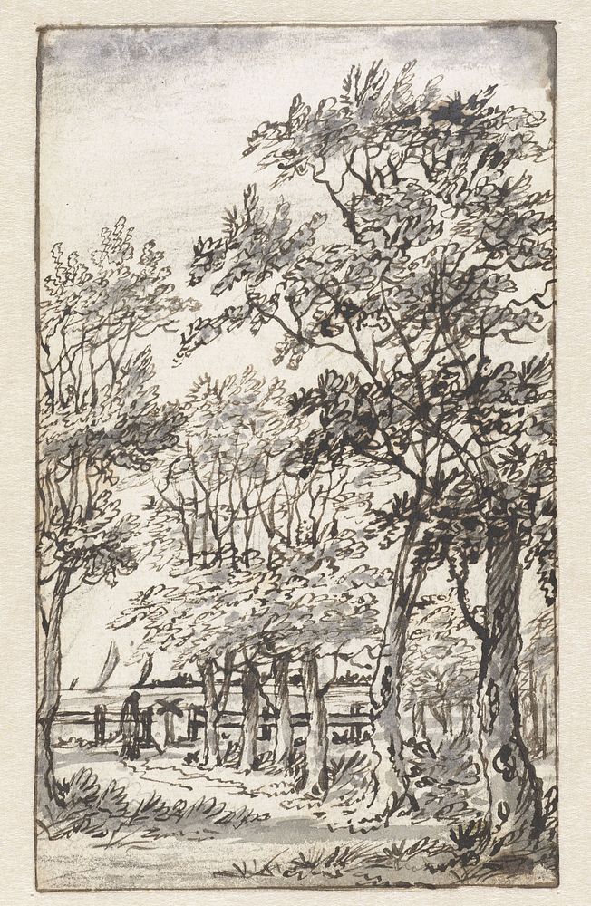 Landschap met bomen en in de verte water (1673 - 1740) by Jan Vincentsz van der Vinne and Isaac Vincentsz van der Vinne