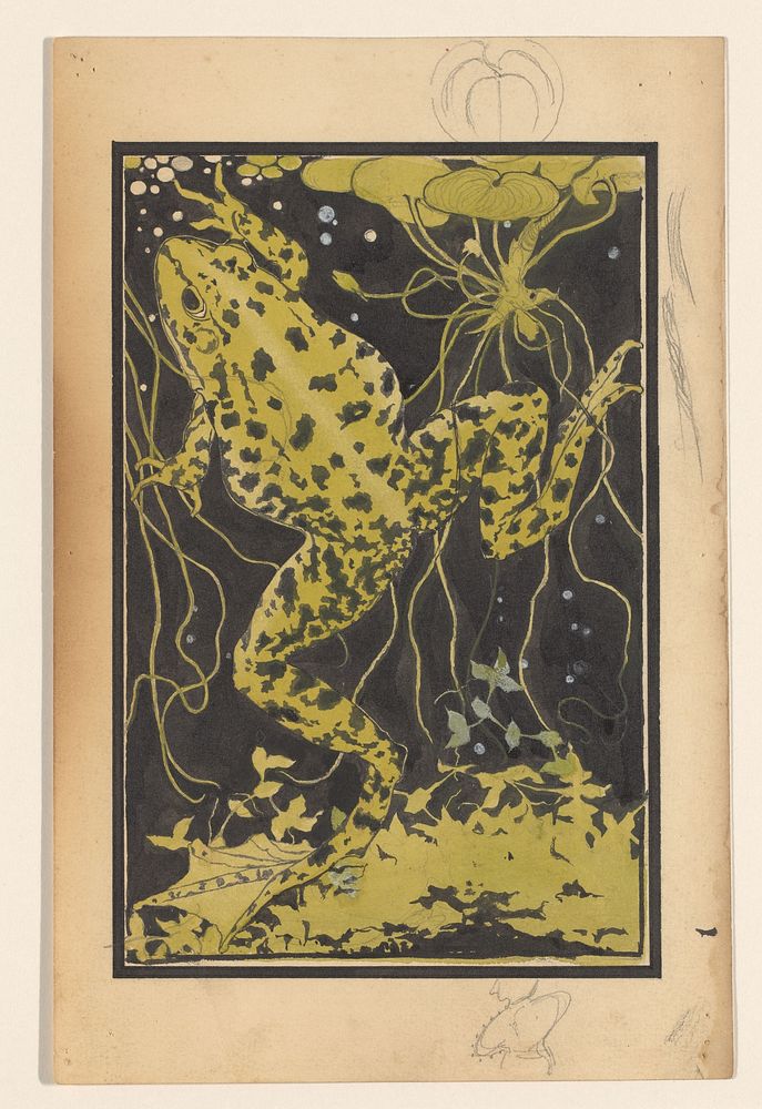 Kikker in het water (1887 - 1924) by Julie de Graag