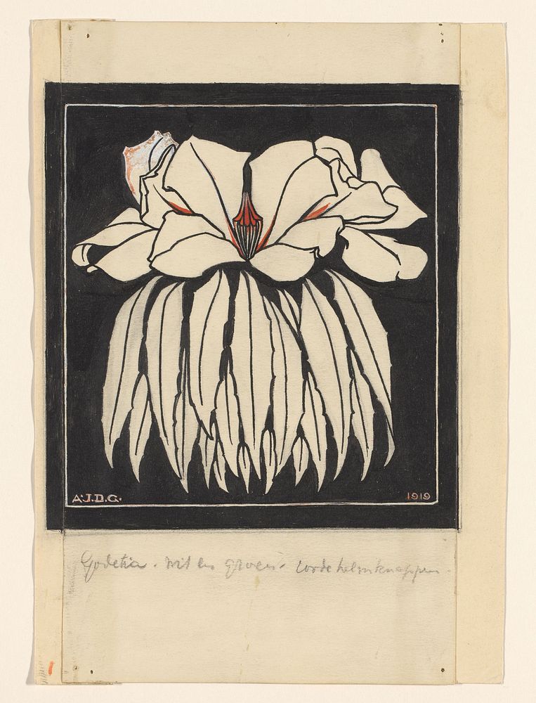 Godetia (1919) by Julie de Graag