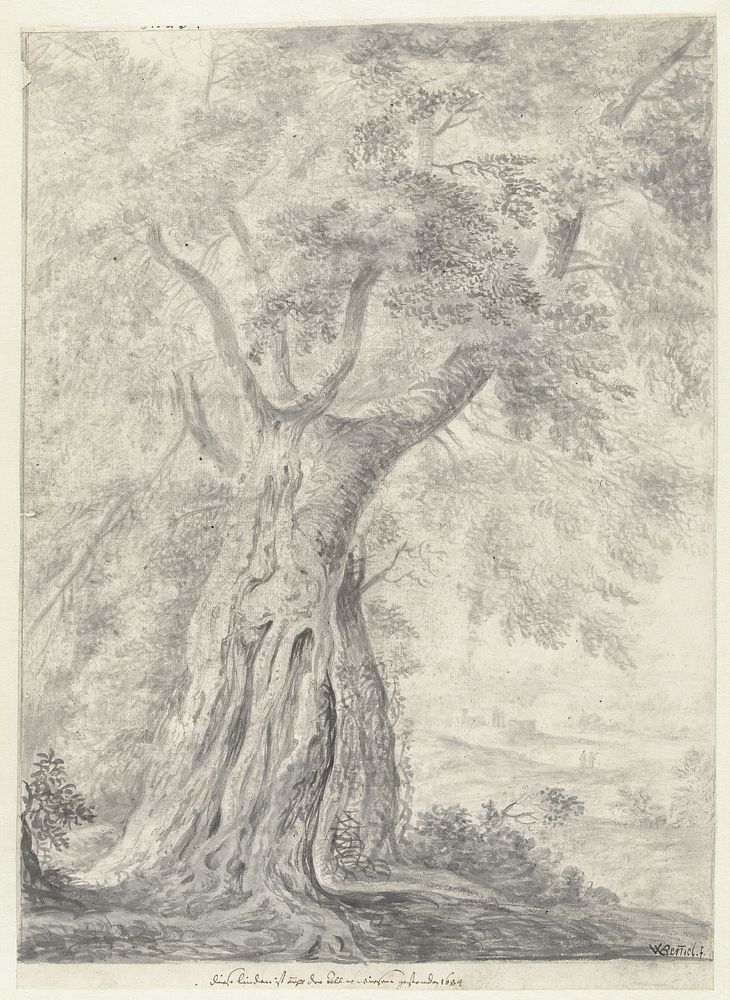 Studie van een boom (1640 - 1708) by Willem von Bemmel