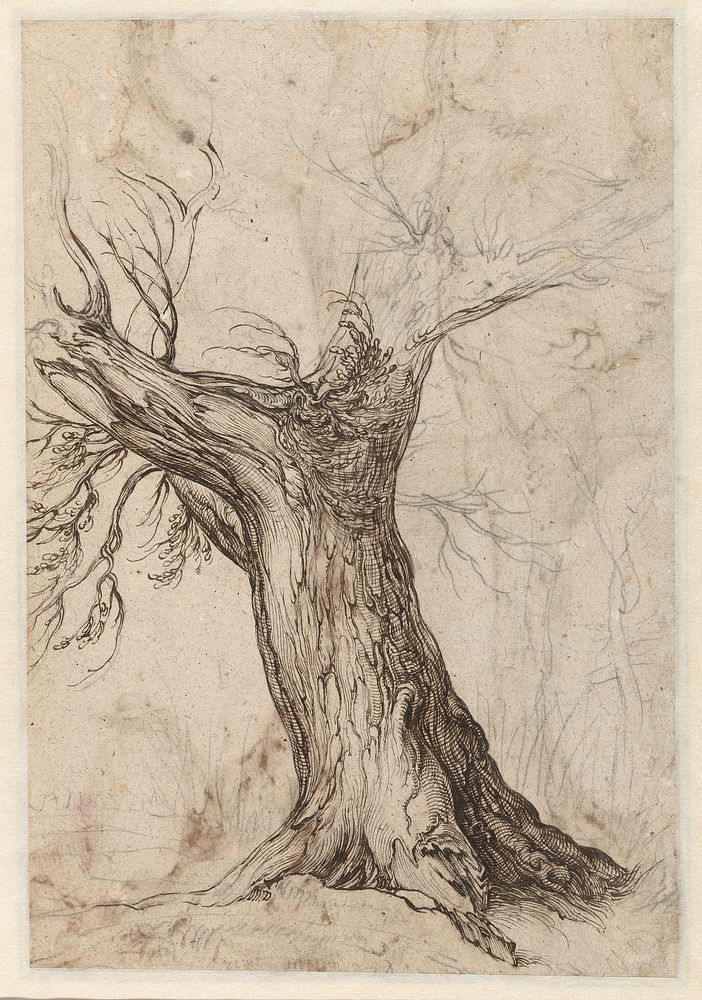 Kastanjeboom met enkele bomen eromheen (1598 - 1608) by Jacques de Gheyn II