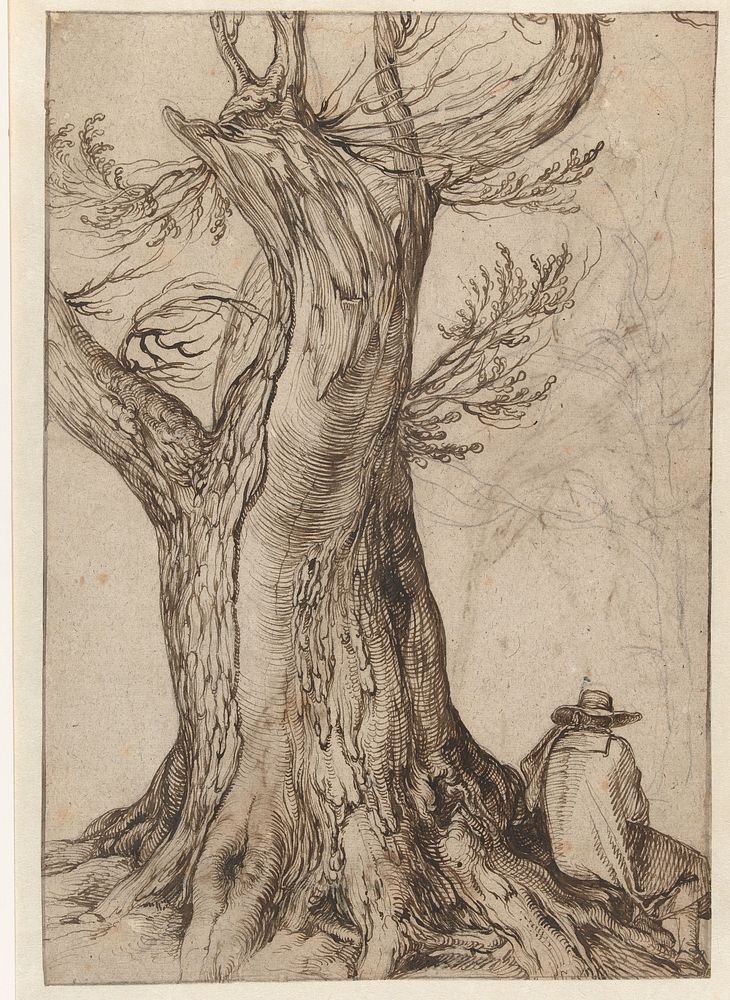 Study of a tree trunk (1598 - 1608) by Jacques de Gheyn II
