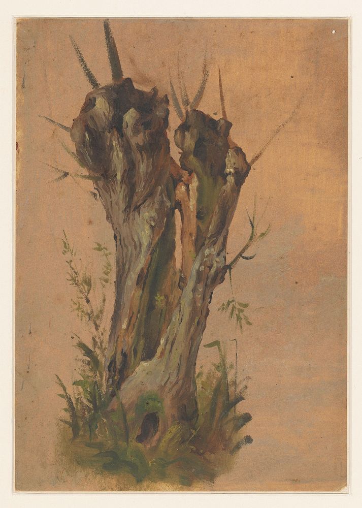 Knotwilg (1832 - 1880) by Jan Weissenbruch