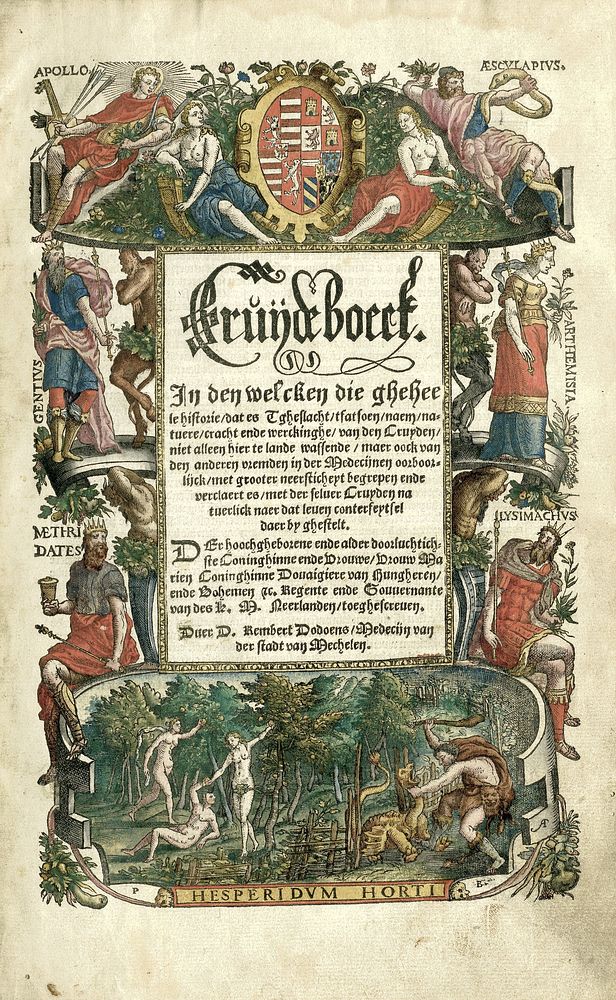 Dodoens Cruijdeboeck met voorstellingen van planten (1567) by Arnaud Nicolaï, Pieter van der Borcht I, Rembertus Dodonaeus…