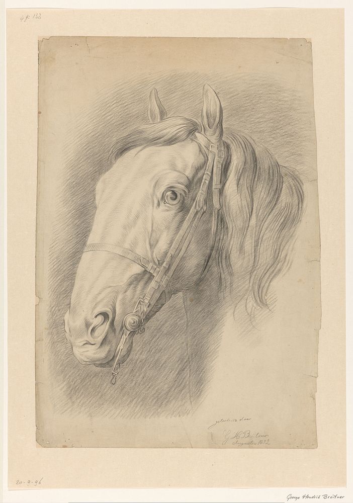 Hoofd van een paard (1872) by George Hendrik Breitner
