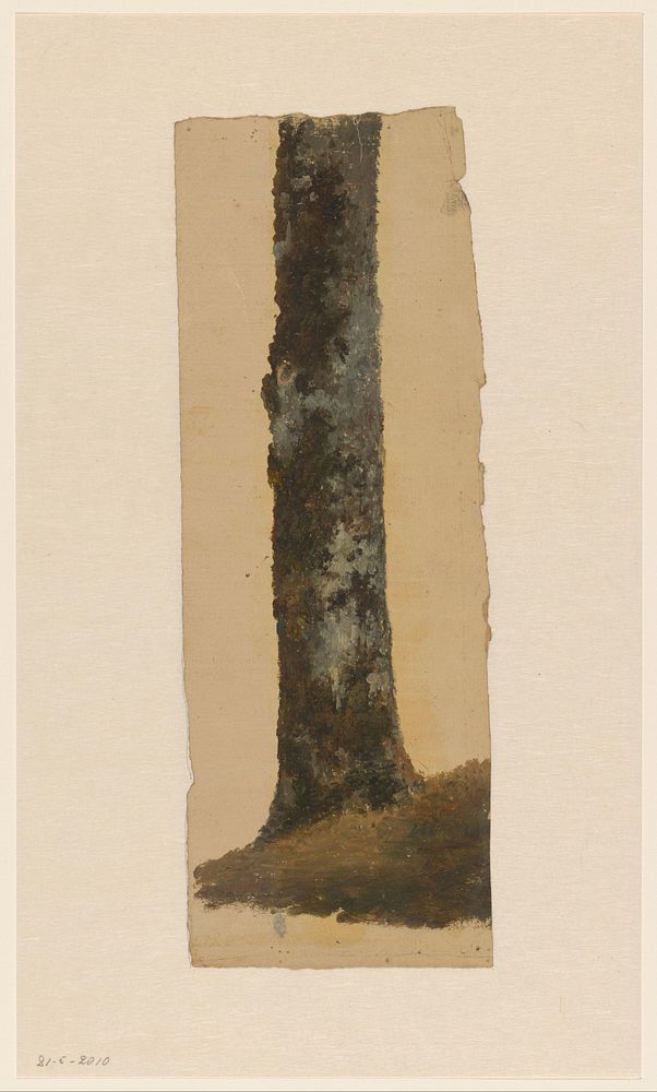 Studie van een boomstam (1834 - 1879) by Cornelis Johannes de Vogel