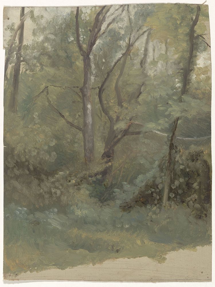 Bosgezicht (1821 - 1891) by Guillaume Anne van der Brugghen