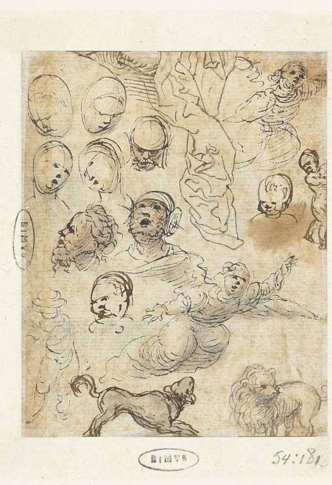 Studies van zwevende engelen, honden en hoofden van mannen en vrouwen (1500 - 1510) by anonymous and anonymous