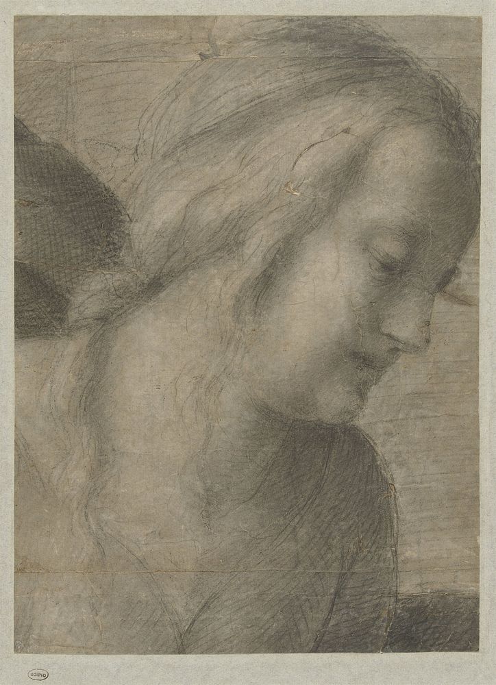 Hoofd van Maria, in een Aanbidding (1518 - 1523) by Andrea del Sarto