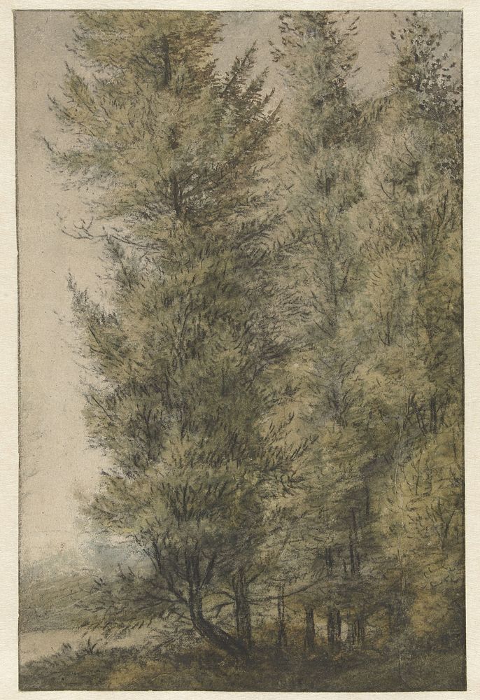 Hoge dennen aan de rand van een bos (1619 - 1690) by Anthonie Waterloo