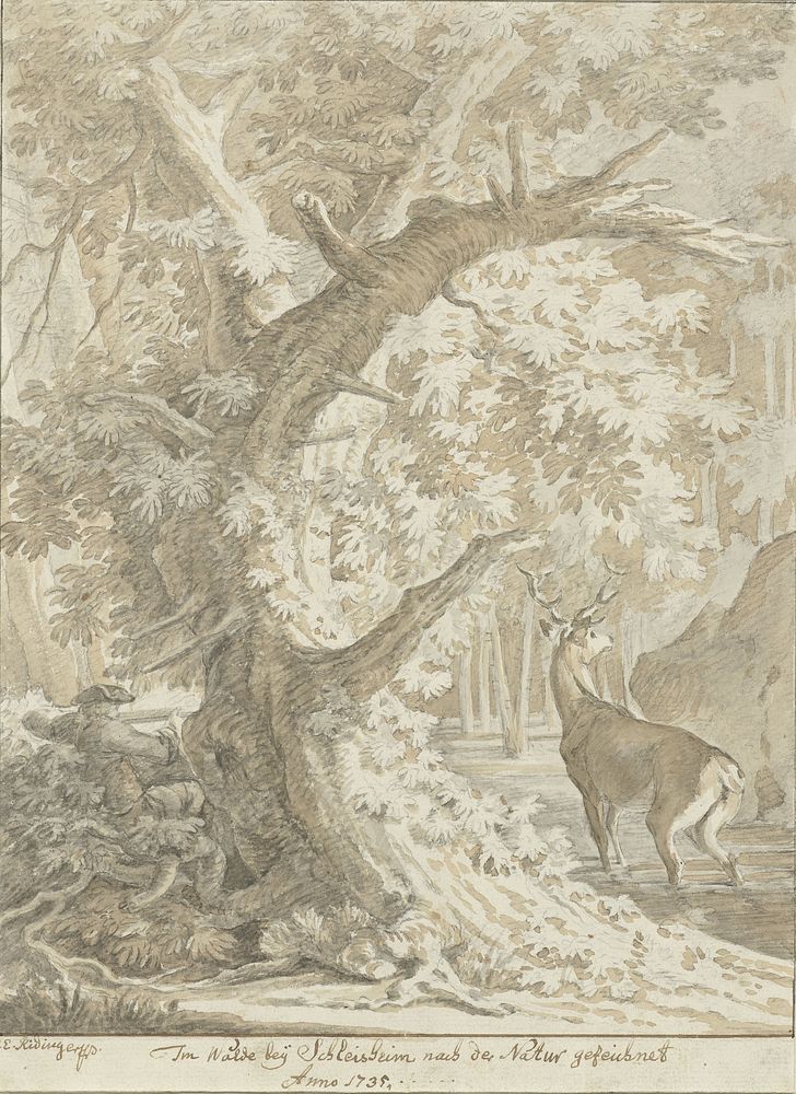 Jager legt aan op een edelhert in het water onder een oude boom (1735) by Johann Elias Ridinger