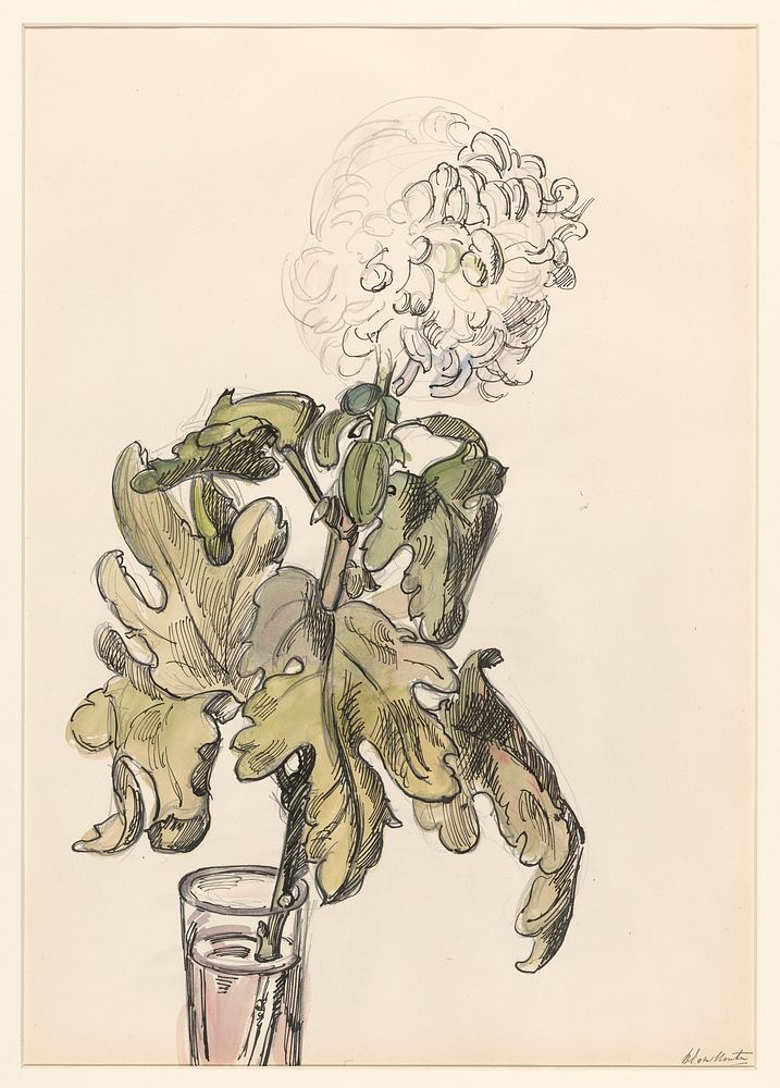 Bloeiende chrysant, in een vaasje (1872 - 1950) by Barbara Elisabeth van Houten