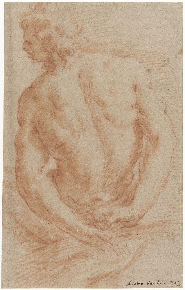 Studie van een mannelijk naakt (1643 - 1663) by Pietro della Vecchia