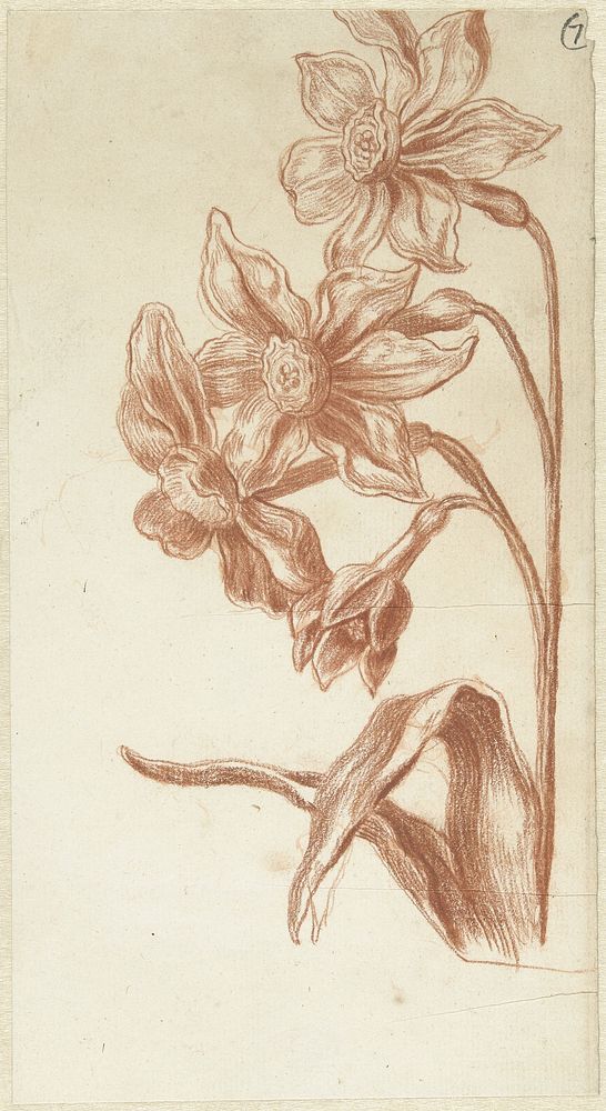 Narcissen (1683 - 1733) by Bernard Picart