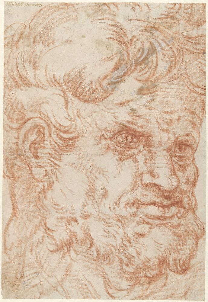 Kop van een saterachtige man met weelderige haar- en baardgroei, half naar rechts (1550 - 1600) by anonymous
