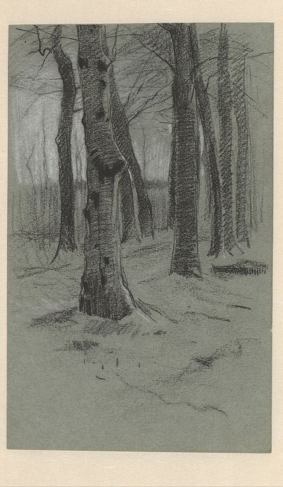 Bomengroep (1870 - 1923) by Willem Witsen