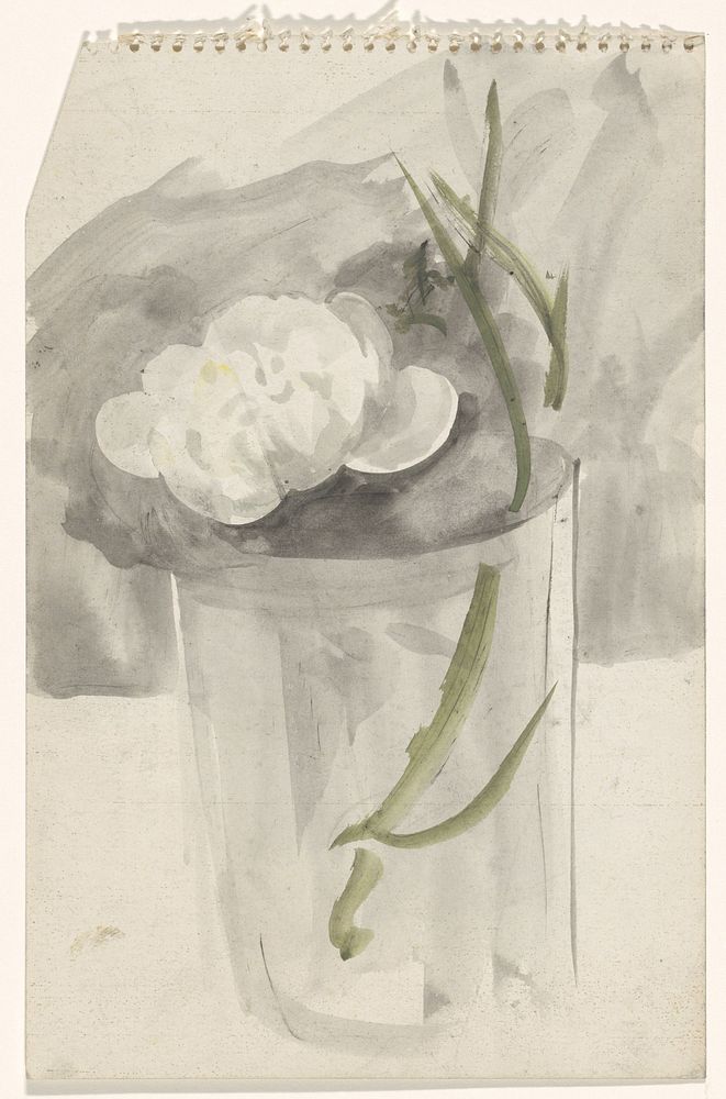 Witte bloem in een glas (1874 - 1945) by Carel Adolph Lion Cachet