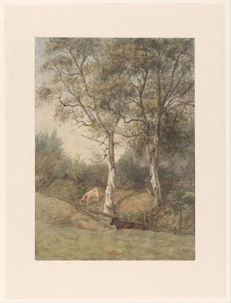 Boslandschap met koeien, bij Wolfheze (1884) by Cato Kool