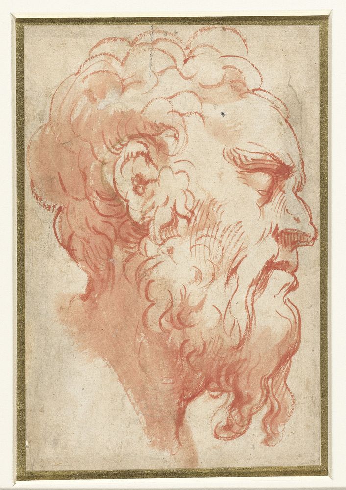 Hoofd van een oude man, en profil naar rechts (1513 - 1540) by Parmigianino and anonymous