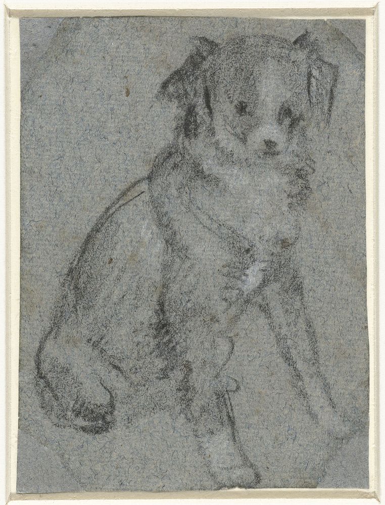 Zittend hondje (1550 - 1599) by anonymous