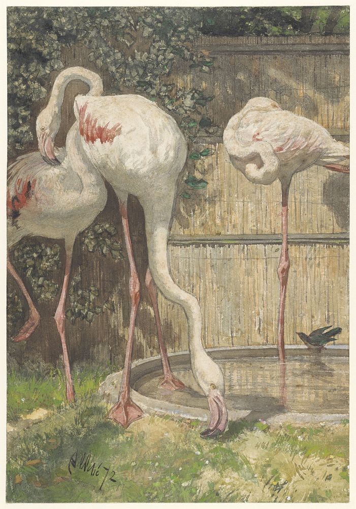 Three Flamingos near a Basin (1872) by August Allebé