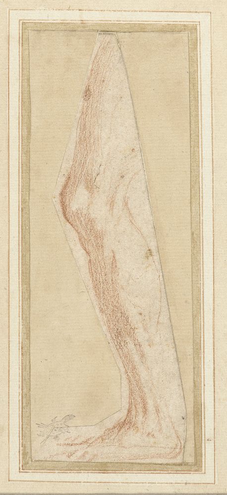 Schets van een been (1513 - 1540) by Parmigianino