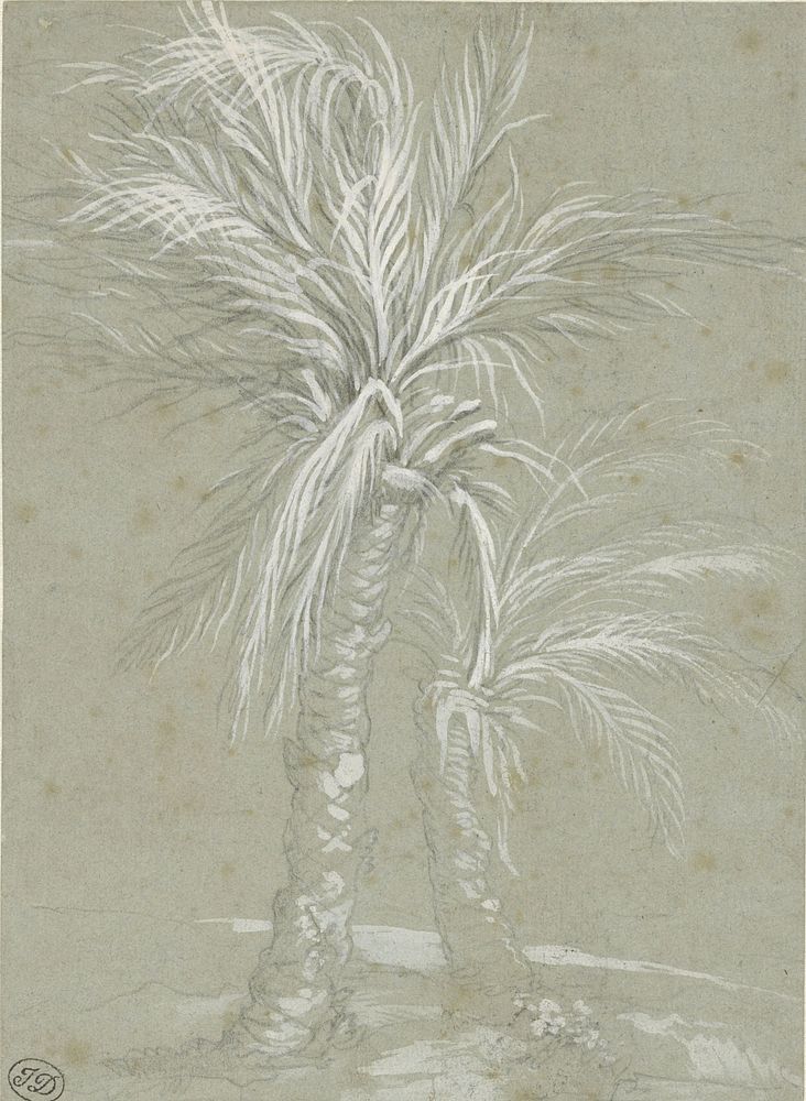 Two Palm Trees (1661 - 1666) by Mattia Preti and Paolo Veronese