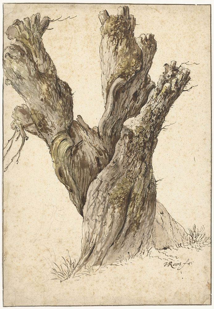 Een knotwilg (1641 - 1685) by Johann Heinrich Roos