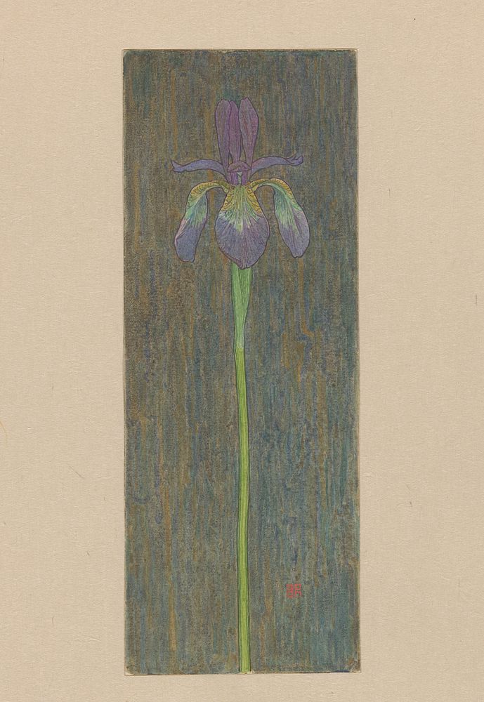 Iris (c. 1900) by Gijs Bosch Reitz
